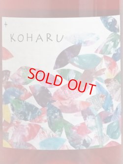 画像1: 【さっぽろ藤野ワイナリー】KOHARU+（ロゼ）750ml