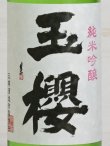 画像2: 玉櫻 純米吟醸生原酒 五百万石60＜R2BY＞720ml