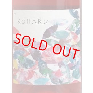 画像: 【さっぽろ藤野ワイナリー】KOHARU+（ロゼ）750ml